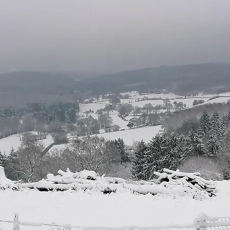 La Belle Vie Bed & Breakfast *